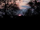 DSCF3335.jpg