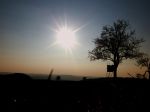 DSCF3363.jpg