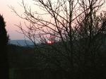 DSCF3382.jpg