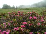 DSC04040.jpg