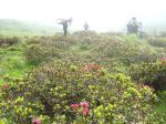 DSC04050.jpg