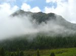 DSC04052.jpg