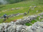 DSC04060.jpg