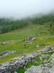 DSC04062.jpg