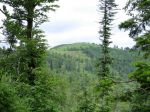 Donon_07021.jpg