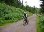 Donon_07028.jpg