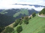 DSCF2466.jpg