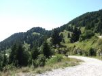 DSCF2609.jpg