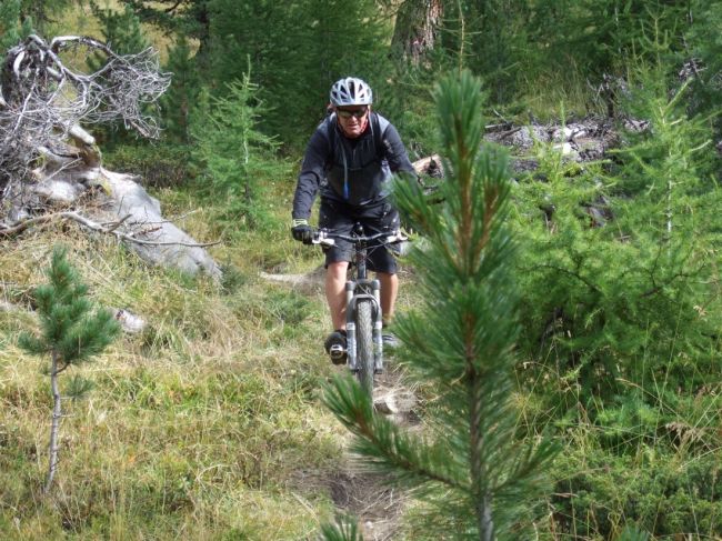 Klicken f�r Bild in voller Gr��e