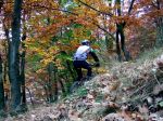 DSCF4391.jpg
