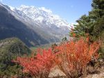 DSC04736.jpg