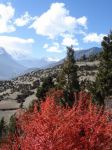 DSC04787.jpg