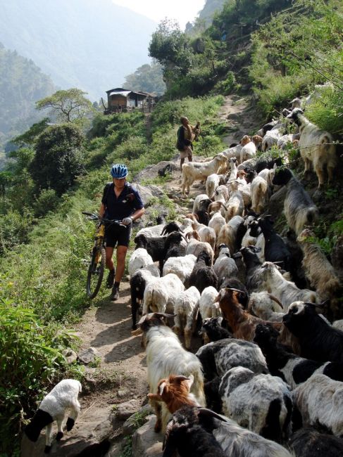 Klicken f�r Bild in voller Gr��e