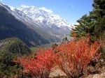 DSC04736.jpg