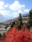DSC04787.jpg