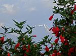 DSC05362.jpg
