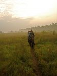 DSC05474.jpg