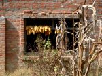 DSC05572.jpg