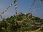 DSC05744.jpg