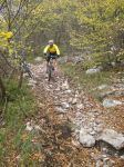 07_Tovotrail.jpg