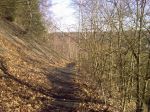 PIC00040.jpg