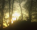 PIC00060.jpg