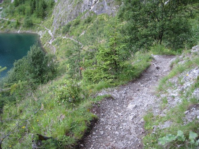 Klicken f�r Bild in voller Gr��e
