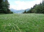 Classic-2008_049.jpg