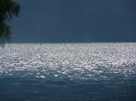 Classic-2008_259.jpg