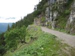 IMG_0901.jpg