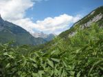 IMG_1190.jpg