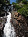 IMG_1435.jpg