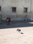 IMG_1462.jpg