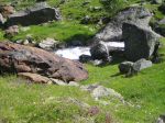 IMG_1985.jpg