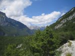 IMG_2037.jpg
