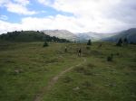 IMG_3439.jpg
