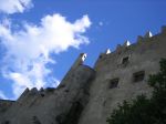 IMG_3455.jpg