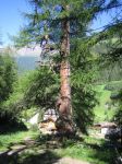 IMG_3488.jpg