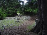 Transalp_Classic_2008_032.jpg