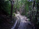 Transalp_Classic_2008_039.jpg