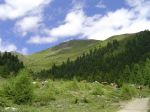 Transalp_Classic_2008_079.jpg