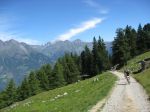 IMG_1822.jpg