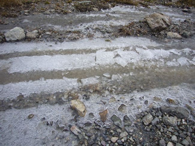Klicken f�r Bild in voller Gr��e