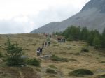 IMG_4964.jpg