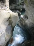 IMG_4993.jpg