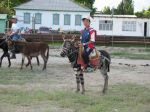 IMG_1175.jpg