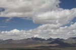 IMG_1408.jpg