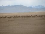 IMG_2164.jpg