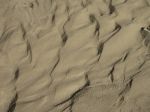 IMG_3494.jpg