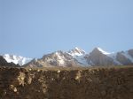 IMG_3576.jpg